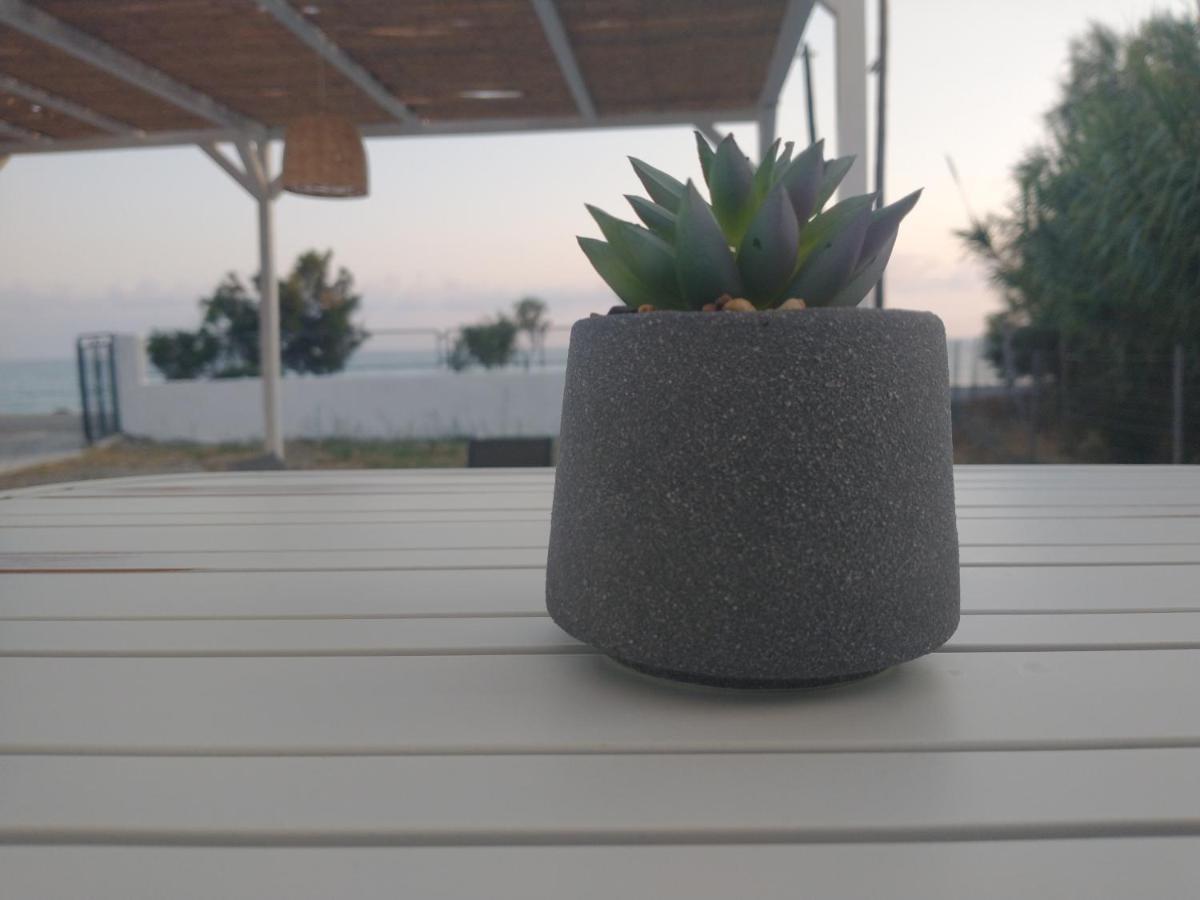 Mini Villas Avra Κερατόκαμπος Δωμάτιο φωτογραφία