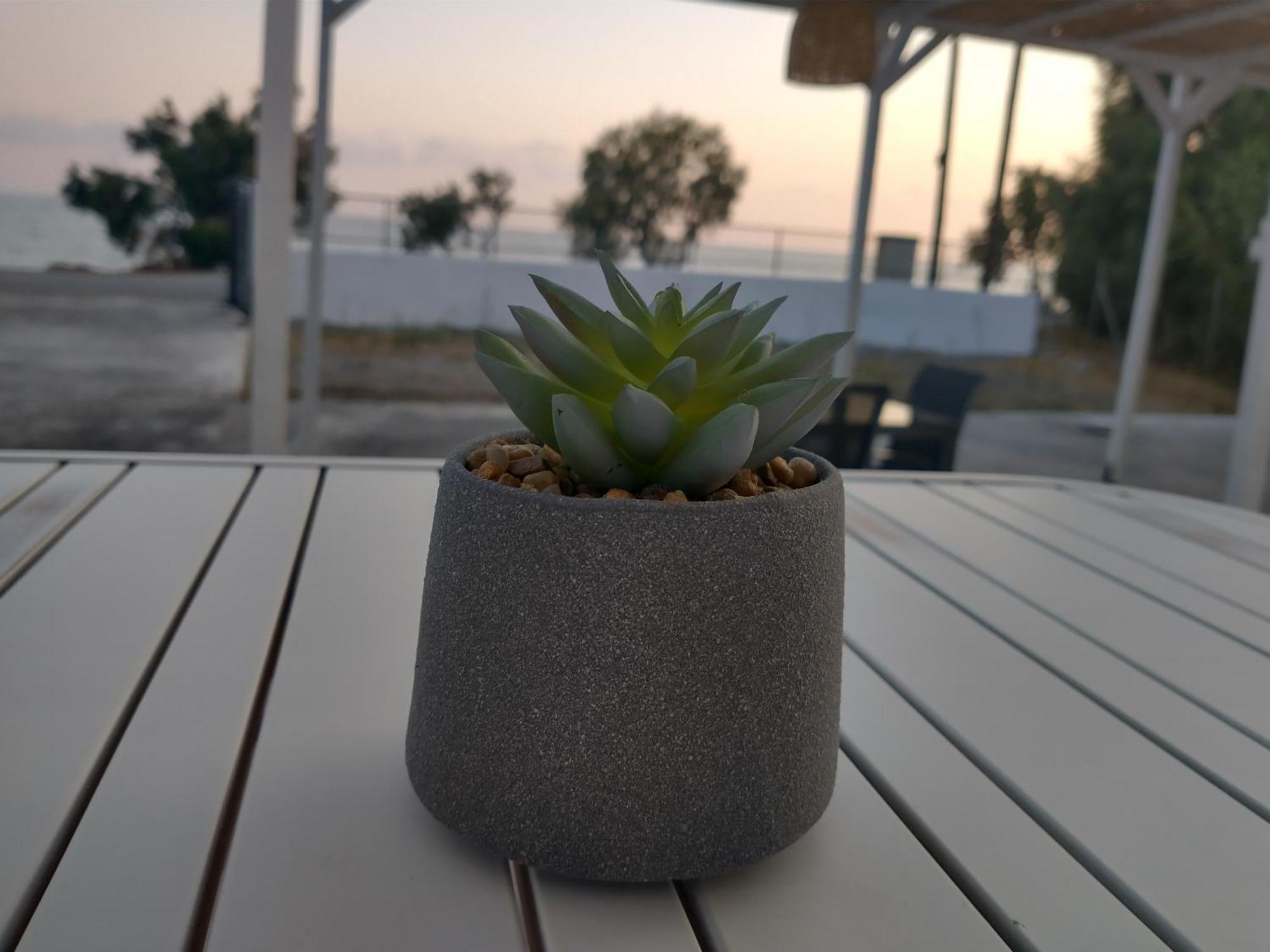 Mini Villas Avra Κερατόκαμπος Δωμάτιο φωτογραφία